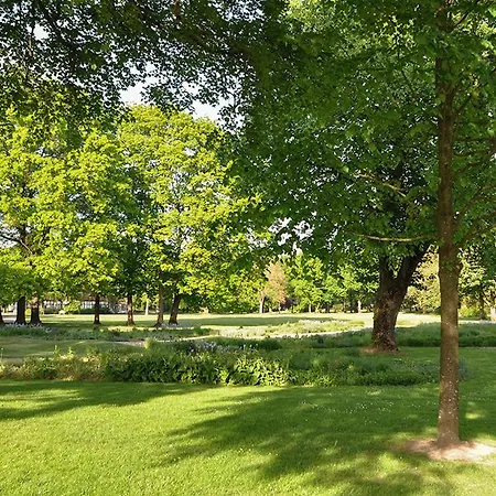 Parkblick